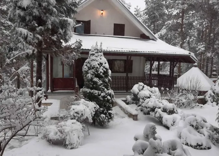 President Divčibare