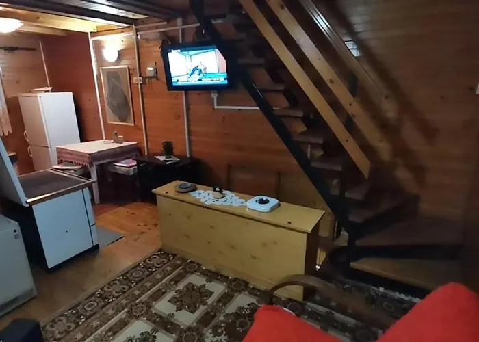 President Vikendica *