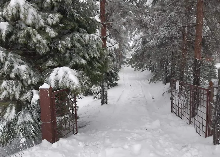 Vikendica President Divcibare